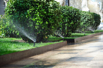 Work of automatic lawn watering system on the street in the city.