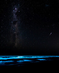 Amazing bioluminescence and stars at night. 