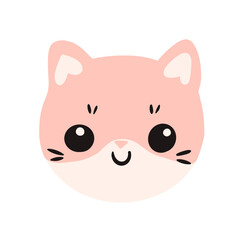baby cat, cute pink cat