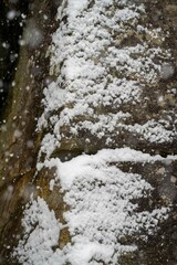 Naklejka na ściany i meble Snowfall on cliffside