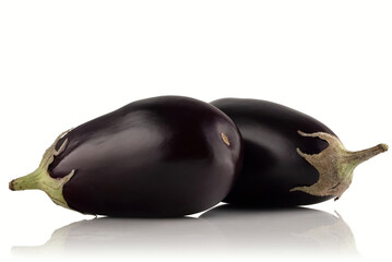 eggplant on a white background