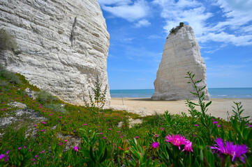 Vieste, Pizzomunno