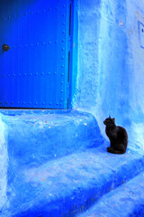 In the Medina of Chefchaouen in Morocco - 593328098