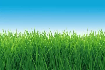 Foto op Plexiglas Grass that is green with a clear sky. Generative AI © 2rogan