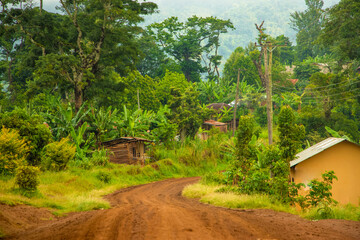 A dirt and gravel road leading through the african rainforest and jungle of Africa. - obrazy, fototapety, plakaty