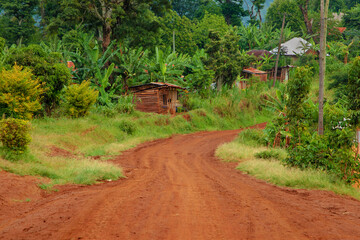 A dirt and gravel road leading through the african rainforest and jungle of Africa. - obrazy, fototapety, plakaty