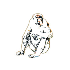 monkey color sketch with transparent background