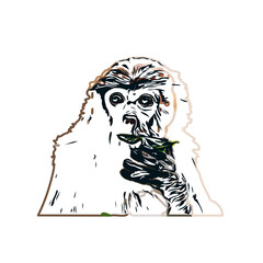 Fototapeta na wymiar monkey color sketch with transparent background