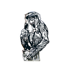 monkey color sketch with transparent background