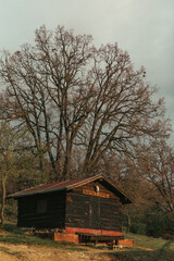 Hunters House in Trees - Western side