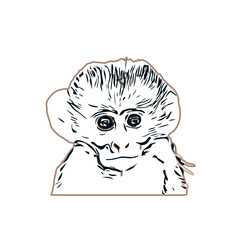 monkey color sketch with transparent background