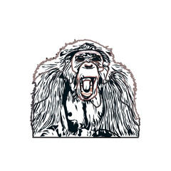 monkey color sketch with transparent background