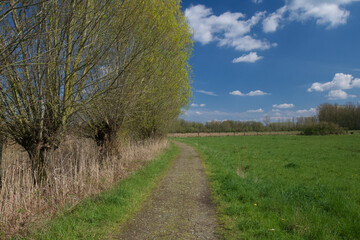 Fototapeta na wymiar Belgium, Harchies - April 15, 2023 : beautiful view of the Harchies marshes
