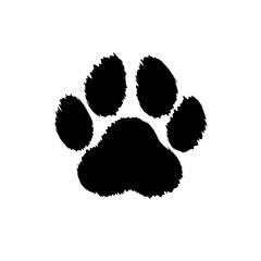 Black distorted paw on white background © Bela Art
