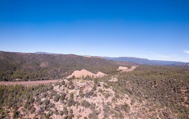 Aerial view of forest surrounded by dense trees