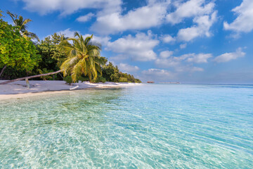 Paradise island beach. Beautiful landscape of summer sea sand sky palm trees. Luxury travel vacation destination. Exotic tropical beach landscape. Amazing nature, relax freedom nature concept Maldives