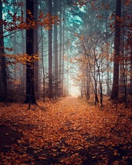 Breathtaking view of autumn forests with golden fallen leaves on a foggy day