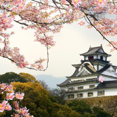 Fototapeta premium japanese castle