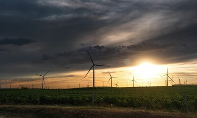 Fototapeta na wymiar Beautiful view of wind turbines in an evergreen field against a dramatic sky during a scenic sunset
