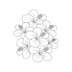 Hibiscus Flower Coloring page Hand Drawn illustration With Line Art  