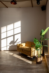 Interior with yellow sofa against background of shadows from window