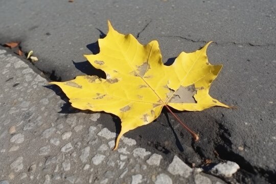 Top view image of yellow maple leaves on a surface composed of broken concrete. Generative AI