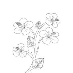 Hibiscus Flower Coloring page Hand Drawn illustration With Line Art  
