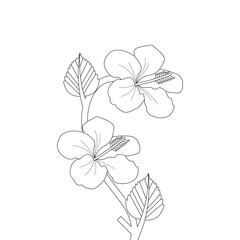 Hibiscus Flower Coloring page illustration With Line Art