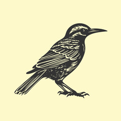 Fototapeta premium Hand drawn Bird illustration. 