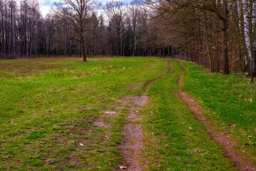 Spring, everything comes to life