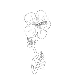 Hibiscus Flower Coloring page For Kids