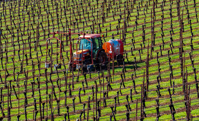 A pattern image of a farm tractor spraying soil sterilant on the rows of a hillside vineyard in the...