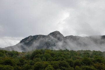 Fototapeta na wymiar fog over forest and mountains