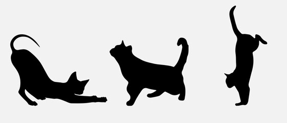 isolated black silhouette of a cat, vector collection