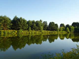 Reflections of trees and bushes in the surface of a calm lake on a sunny summer day near Kurów, Pulawy, Poland