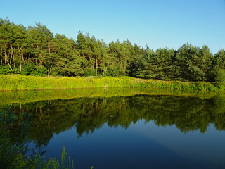 Reflections of trees and bushes in the surface of a calm lake on a sunny summer day near Kurów, Pulawy, Poland