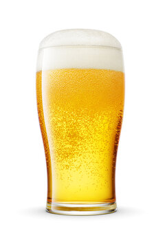 Tulip pint glass of fresh yellow beer with cap of foam isolated on white background.