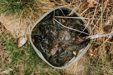 A lot of bees drink water from a bucket of water, mud, leaves in nature. Close-up photo of an animal.