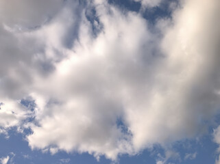 Giant grayish mass in the shape of a bird or bug tries to cover the entire sky
