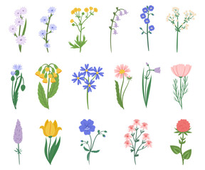 Set Of Wildflowers Features A Stunning Array Of Colors, Including Purple, Pink, And Yellow, Wild Flowers Collection