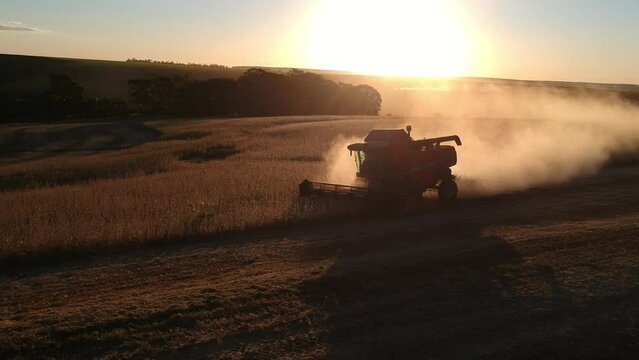 Colheitadeira colhendo soja no p&ocirc;r-do-Sol