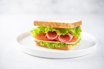 Sandwich with sausage, cheese and tomato for lunch