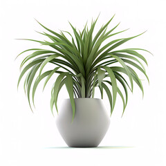 Plant in a vase isolated on white background, AI- Generated Image