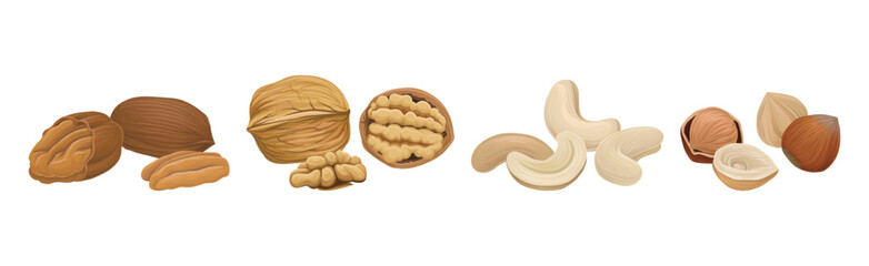 Nuts as Dry Edible Seeds with High Fat Content Vector Set