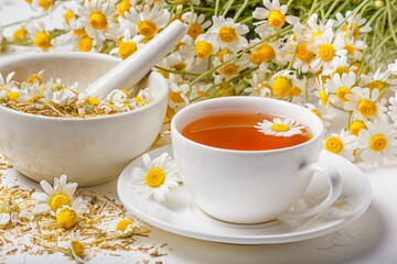White cup of hot chamomile tea, a mortar with dry daisies buds and a bouquet of Matricaria chamomilla on concrete background. Herbal drink, healthy lifestyle concept.