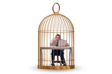Businessman caught in the cage