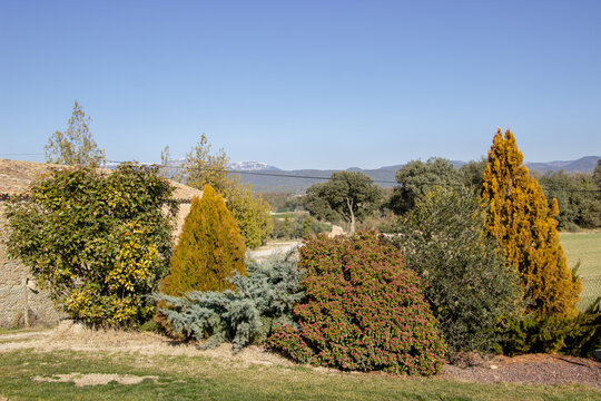 Combination of colorful plants and trees .