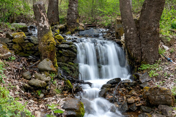 Fototapeta premium Waterfall at Crazy Mary River, Belasitsa Mountain, Bulgaria