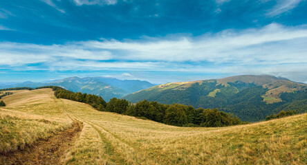 Carpathian Mountains (Ukraine) autumn landscape with country road. Panorama.