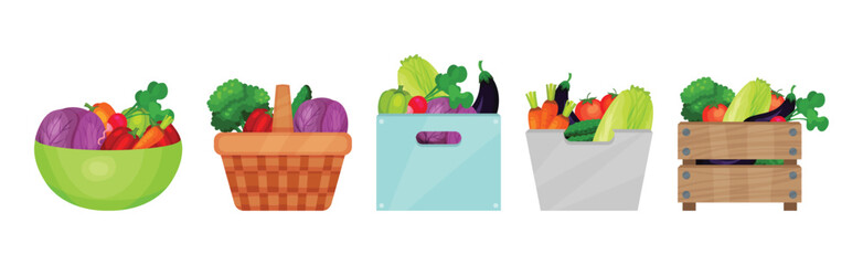 Ripe Vegetable in Basket and Crate as Seasonal Harvesting and Yield Vector Set